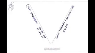 Deep Thinking Model Dec 2025 | Driving Innovation & Trusted Impact in Clinical Trials