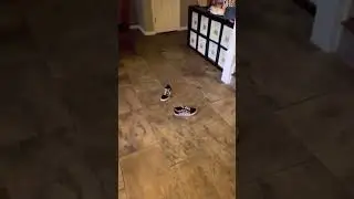 When you throw vans they always land right side up