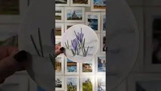 Another spring kind of painting 🥰 this time the crocus flower 🌺