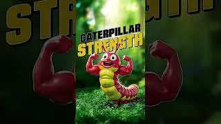 The Positively Strong Caterpillar&rsquo;s Road to 4,000 Muscles #facts  #insects #short