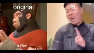 chinese monkeys singing vs IRL