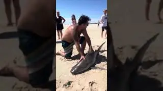 VLOG - a day of fishing, follow along with us as we safely catch & release SHARKS!