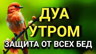 🔑🌟 СИЛЬНЕЙШЕЕ ДУА УТРОМ ОТ ВСЕХ БЕД  🤲🌹✨💯
