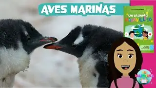 AVES MARINAS | ENSE&Ntilde;ANZA | DEVOCI&Oacute;N MATUTINA PARA NI&Ntilde;OS |TU MATUTINA KIDS