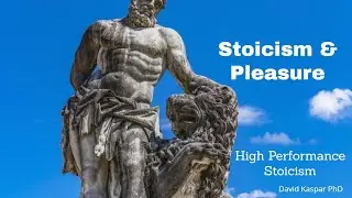 Stoicism and Pleasure #stoic #stoicism #pleasure