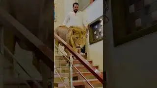 Mera mola haider haider (mian saqib)