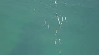 Gyllyngvase Surf Life Saving Club