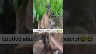 Cool kid atadhani hii NI coconut 😂😂😂#comedy #funnyvideo subscribe 