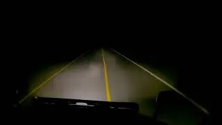 Moose in Newfoundland be 200% aware in night.