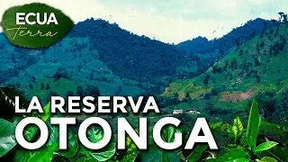 Ecuaterra🌱La reserva Otonga se extiende entre Cotopaxi, Pichincha y Santo Domingo | Ecuavisa