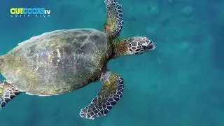 Outdoors TV Costa Rica-Concejos de Destinos para visitar en Costa Rica este 2026