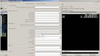 Кодирование видео в DCP формат. 06-XML-файлы