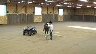 Confidence Under Saddle - Rio - Versatility Horse - Russ Krachun Kozak Horsemanship