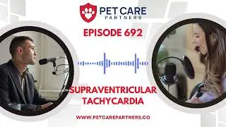 Ep. 692: Supraventricular Tachycardia in Pets: Causes, Diagnosis & Treatment | Pet Care Partners