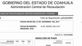 Descarga tu Acta de Nacimiento en Línea. “Proyecto Exitoso”.