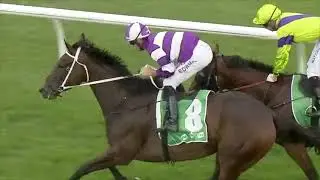 Punting Strategy, Wednesday 17th March 2021