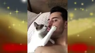 AMAZING ANIMALS