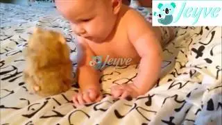 Copy Hamster