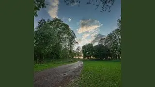 Light Touch