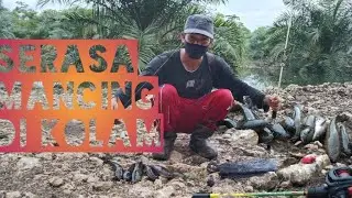 Aby imuf TheAngler - MANCING GABUS SERASA DI KOLAM