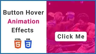 Button Hover Animation Effects Using HTML & CSS  🖲