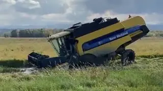 Bu Nasıl Bir Batak ! New Holland CS 6050 , &Ccedil;eltik Harmanı