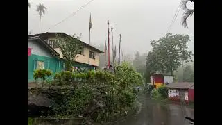 DALGOUN JALDHAKA VILLAGE | RAINY WEATHER | RAW STOCK FOOTAGE | NO COPYRIGHT