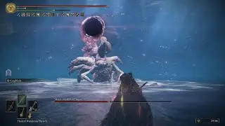Metyr, Mother of Fingers (No Damage) - Elden Ring DLC