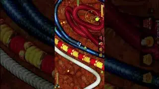 Epic Chase in Little Big Snake 🐍🔥 | Intense Snake Battle #Shorts