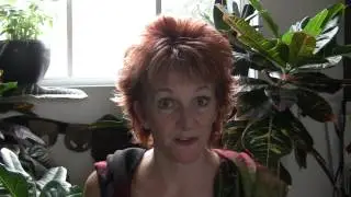 Face Reading Course