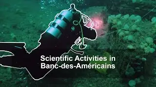 Scientific Activities in Banc-des-Am&eacute;ricains