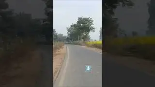 Village Beautiful  in Pakistan | Village in Punjab#desivillagelife