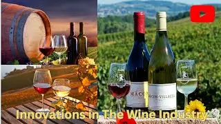 The TRUTH about Innovations In The Wine Industry