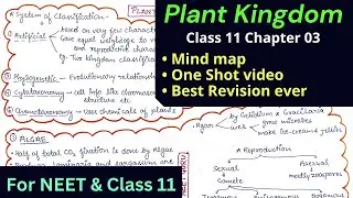 *Updated* Plant Kingdom mind map for NEET and Class 11 One shot video Best revision ever #neetguru