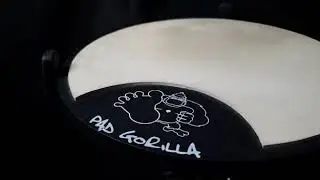 &Eacute;bano Santos - Pad Gorilla