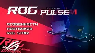 Летнее обновление Pacific Drive, Warframe 1999, Diablo 4, Unknown 9: Awakening/ ROG PULSE [26.07.24]