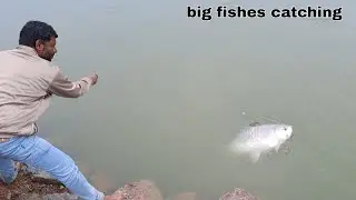 Guccha Gal Fishing | Big Fishes Hunting Catching | Amjad Khan Fishing