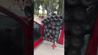Bass In Your Face!