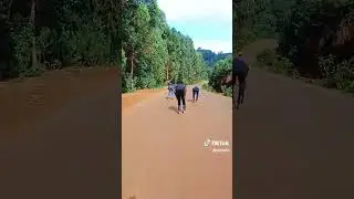 #skating #skateaction #skate #inlineskatingfreestyle #rollerskating #rollerfreestyle #roadskate