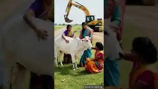 Brave farmers rescue cow drowning in strong river current 😭 #ai​ #cow​ #animals​ #rescue​