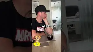 Dogs favorite toys?