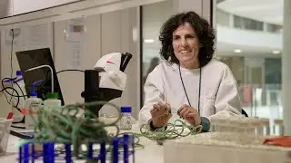 &ldquo;Microplastics are everywhere&rdquo; - researchers warn of dangers to marine and human life