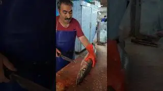 Barracuda Cutting Like a Pro &ndash; You&rsquo;ll Be Amazed by This Technique!
