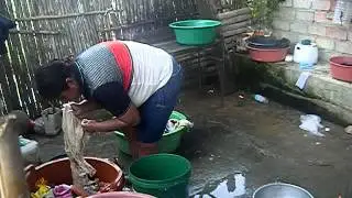 Life on the Coast of Ecuador (La Vida de la Costa)