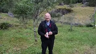 God helg   11 s&oslash;ndag i treeiningstida 4