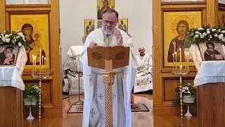 Homily on the Beginning of Christ's Ministry and Our Life in the Church
