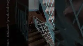 The Vitebsk City Executive Committee announced a false start with crying entrances.