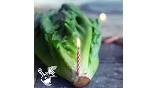 Happy Birthday SALAD | TRADITIONAL HAPPY BIRTHDAY SONG | KONRADULATIONS