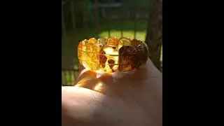 Flat stone-cut bracelet made of natural Baltic amber. Браслет из натурального Балтийского янтаря.
