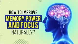 Herbal Brain Enhancement Pills to Improve Memory Power and Focus